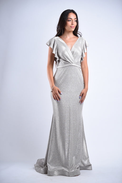 Shimmery Butterly sleve Gown