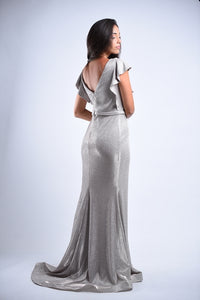 Shimmery Butterly sleve Gown